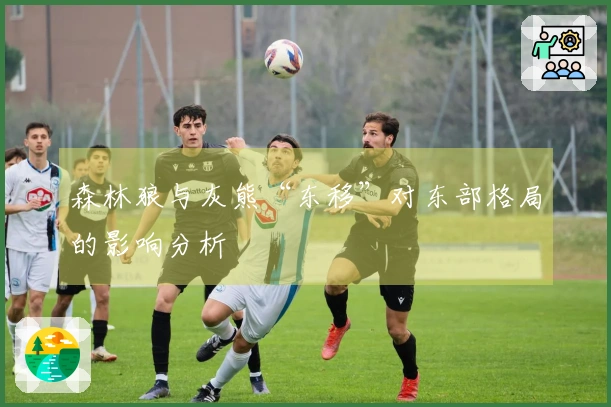 森林狼与灰熊“东移”对东部格局的影响分析