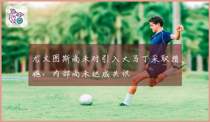 尤文图斯尚未对引入大马丁采取措施，内部尚未达成共识