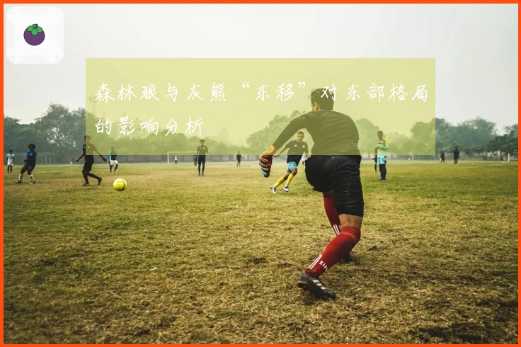 森林狼与灰熊“东移”对东部格局的影响分析